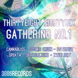 Artwork for "Thirtyeight Eightysix Gathering No.1"