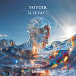 Artwork voor "Ellevate"