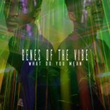 Portada para "What Do You Mean"