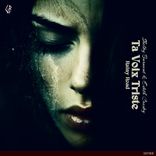 Artwork voor "Ta Voix Triste (Rainy Road)"