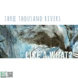 Portada para "Like a What?"