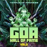 Artwork for "Goa Hall of Fame, Vol. 3 - Temple of Madness"