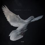 Artwork for "Pigeon"