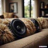 Artwork for "In Da Couch"