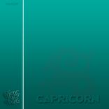 Artwork für "Capricorn"
