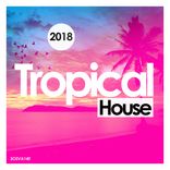 Artwork for "Tropical House 2018"
