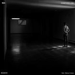 Portada para "Something Low"