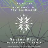 Artwork for "What Ever It Is That You Want"