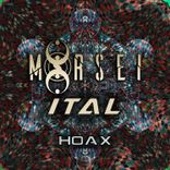 Artwork voor "Hoax"