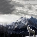 Artwork für "Hybrid"