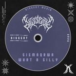 Portada para "what a silly"