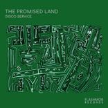 Artwork voor "The Promised Land"