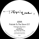 Artwork for "Prelude to the Storm"