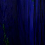 Artwork voor "Beginner's Mind Signal Funk"