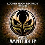 Artwork for "Amplitude"