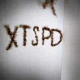 Artwork for "XTSPD"