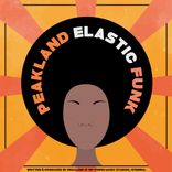 Artwork for "Elastic Funk"
