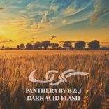 Artwork for "Dark Acid Flash"