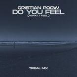 Artwork for "Do You Feel (What I Feel)"