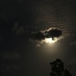 Artwork for "Detroit Lit 04"