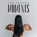 Artwork for "The Tender Moments, Vol. 1"