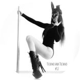 Artwork for "Techno Aka Techno #12"