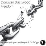 Portada para "Freedom Remixes"