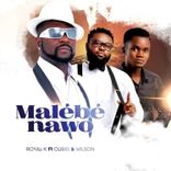 Artwork for "Malébé nawo"