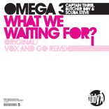 Portada para "What We Waiting For"