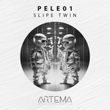 Artwork for "Slipe Twin"