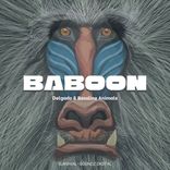 Portada para "Baboon"