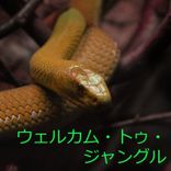 ミッション インポッシブル