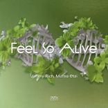 Artwork for "Feel so Alive"