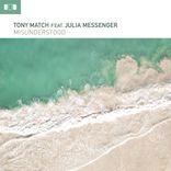 Artwork for "Misunderstood"