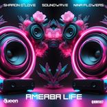 Artwork for "Ameaba Life"
