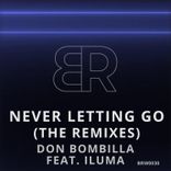Artwork for "Never Letting Go (The Remixes)"
