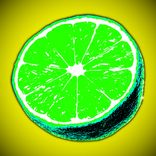 Portada para "LIME"