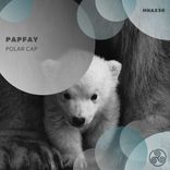 Artwork for "Polar Cap"