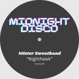 Artwork voor "Nighthawk"