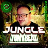 Artwork for "Jungle"