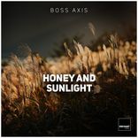 Artwork for "Honey and the Sunlight"