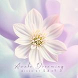 Artwork for "Awake Dreaming (Mixed by SAxY)"