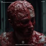 Artwork für "THE PAIN INFLICTED IN A CHOKEHOLD"