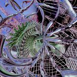 Artwork for "Kernel Panic"