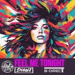 Artwork for "Feel Me Tonight"