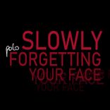 slowly forgetting your face