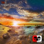 Artwork voor "Forgotten Sunlight"