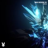 Artwork für "Big Room IV"
