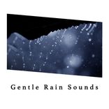 Portada para "Gentle Rain Sounds"