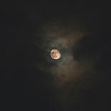 Artwork voor "Nachtmerrie"